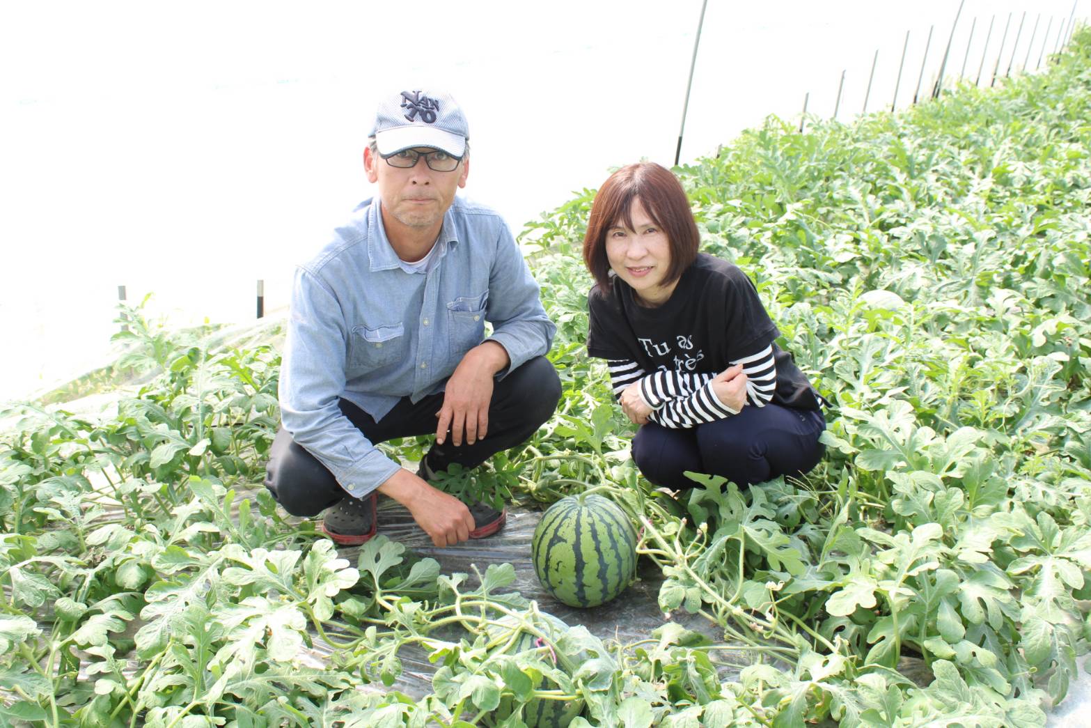 代表挨拶